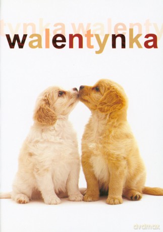 Karnet B6 WBV walentynka MIX