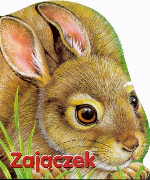Zajączek - Monika Eisele, Ray Cresswell [KSIĄŻKA]