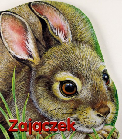 Zajączek - Monika Eisele, Ray Cresswell [KSIĄŻKA]