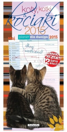 Kalendarz Kociaki 2015. Planer dla dwojga