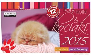 Kalendarz pocztówkowy Kociaki 2015