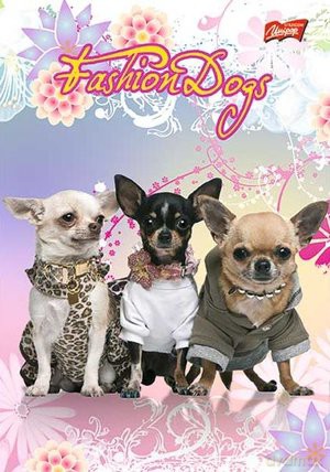 Zeszyt A5 laminowany w kratkę 16 kartek Fashion Dogs