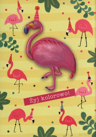 Karnet z balonem Framing K.BALLOON-14