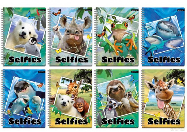Kołonotes A6/100k.kratka Selfies