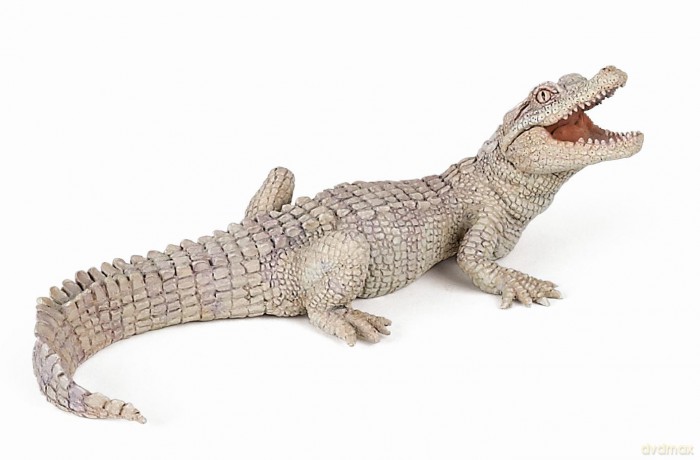 Młody biały krokodyl Papo (50141) [FIGURKA]