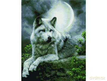 Mozaika diamentowa 40x50cm Nocny myśliwy Diamond painting