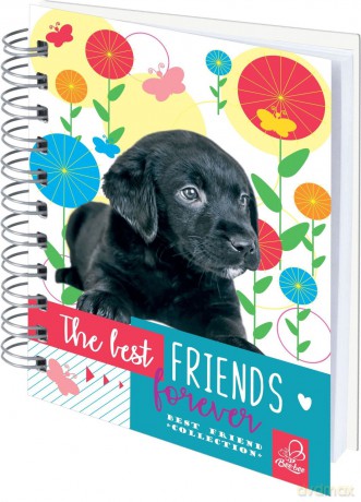 Notes A6 na spirali Best Friend