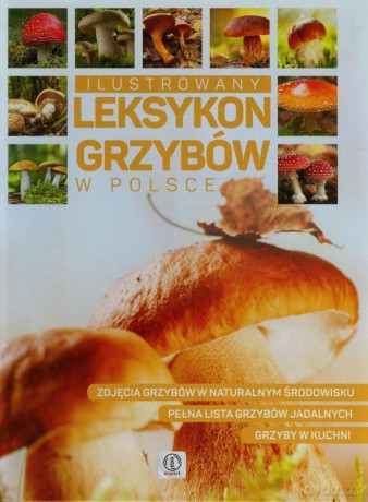 Ilustrowany Leksykon Grzybów W Polsce - Kamiński Wiesław [KSIĄŻKA]