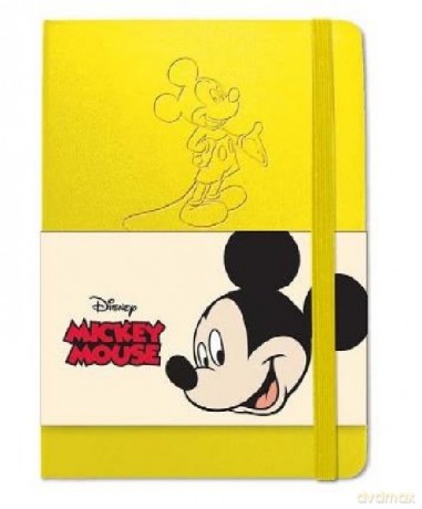 Notes Disney DNA6-96k 96K MIX kolorów
