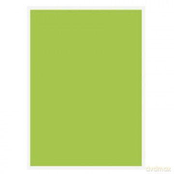 Papier ksero Protos A4 zielony 80g 100ark