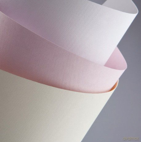 Papier ozdobny (wizytówkowy) Galeria Papieru floryda biały A4 biały 220g