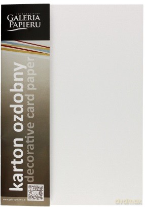 Papier ozdobny (wizytówkowy) Galeria Papieru Holland biały A4 200g op. 20 arkuszy