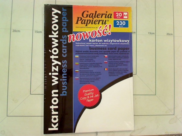 Papier ozdobny (wizytówkowy) Galeria Papieru linie biały A4 230g