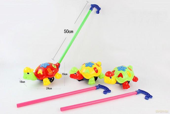Pchacz żółwik 24 cm