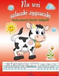 Na Wsi Szlaczki Zygzaczki - Jarosław Żukowski [KSIĄŻKA]