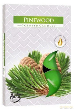 Podgrzewacz zapachowe Pinewood. Pakowany po 6 szt