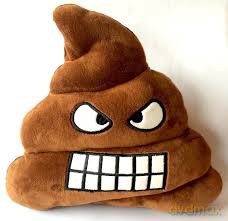 Poo 24