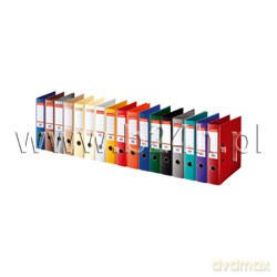 Segregator dźwigniowy Esselte Power 1 A4 beżowy (218630)