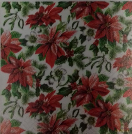 Serwetka BN Decor cocktail Glory poinsettia 25x25 20szt./op.