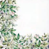 Serwetka BN Lunch Decor Winter greenery 33x33 20szt./op.