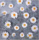 Serwetka Lunch Decor Daisies Love 33x33 20szt./op.