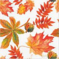 Serwetka Lunch Decor Fall Colors 33x33 20szt./op.