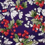 Serwetka Lunch Decor Hawthorn 33x33 20szt./op.