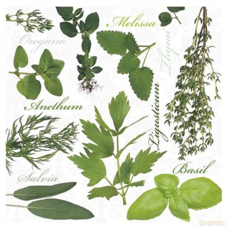 Serwetka Lunch Decor Herbal Taste 33x33 20szt./op.