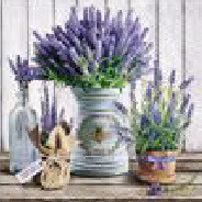 Serwetka Lunch Decor Lavender in Bucket 33x33 20szt./op.