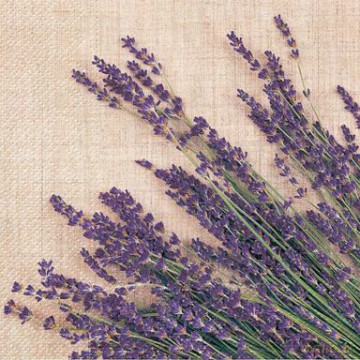 Serwetka Lunch Decor Lavender Sheaf 33x33 20szt./op.