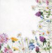 Serwetka Lunch Decor Spring Frame 33x33 20szt./op.