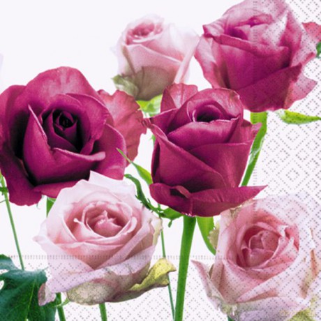 Serwetki Lunch 33x33 Bouquet of roses
