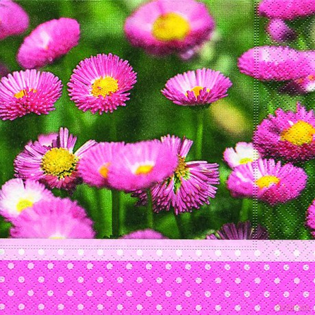 Serwetki Lunch 33x33 Daisy meadow