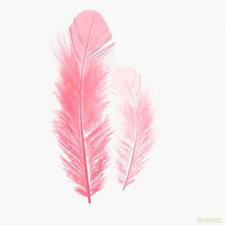 Serwetki Lunch 33x33 Feather pink