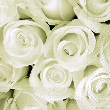 Serwetki Lunch 33x33 Innocent rose