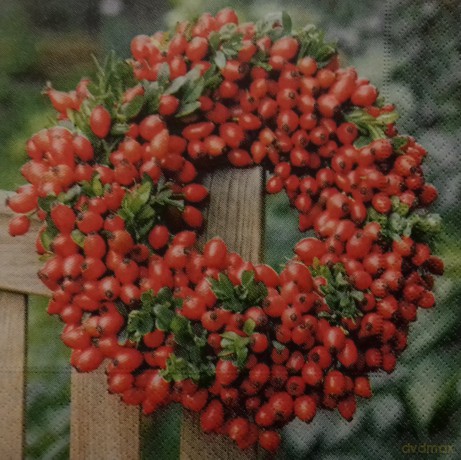 Serwetki Lunch 33x33 Rosehip wreath