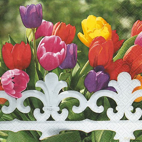 Serwetki Lunch 33x33 Royal Tulips