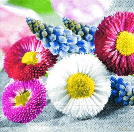 Serwetki Lunch 33x33 Spring blooms