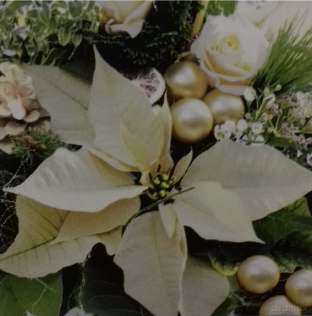 Serwetki Lunch 33x33 Weihnachtsstern creme