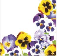 Serwetki Lunch Daisy - Pansies Frame SDWI009601
