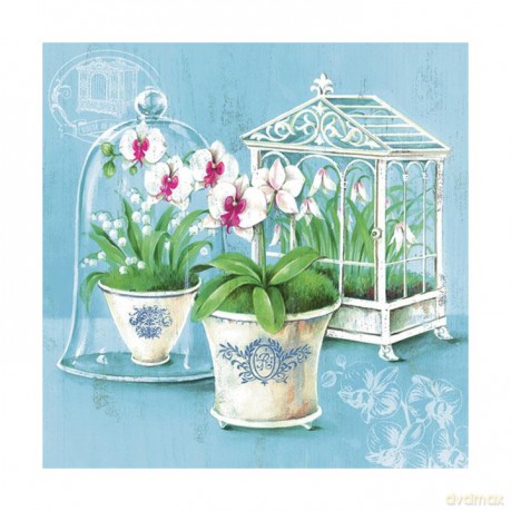 Serwetki Lunch House of Orchids 33x33