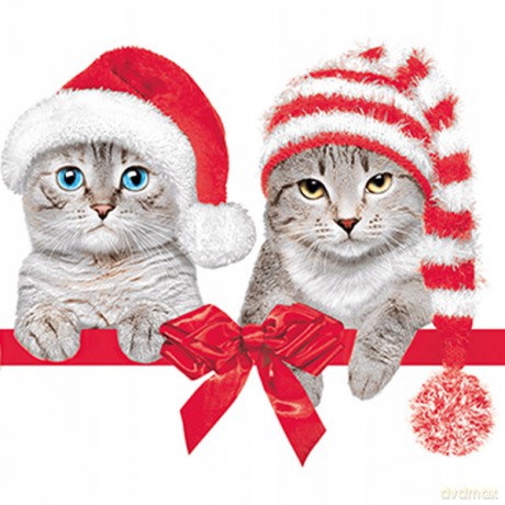 Serwetki Lunch Maki BN - Lovely Cats in Christmas Hats SLGW026201