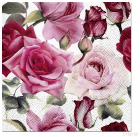 Serwetki Lunch Tete a Tete Rose white bottom 33x33 20szt./op.