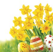 SerwetkI Maki coctail Bunch of Yellow Daffodils with Easter Eggs in Grass 25x25 20szt./op