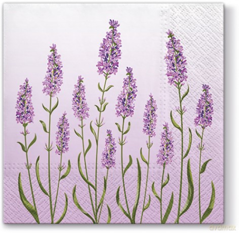Serwetki SDL060600 Lavender Field