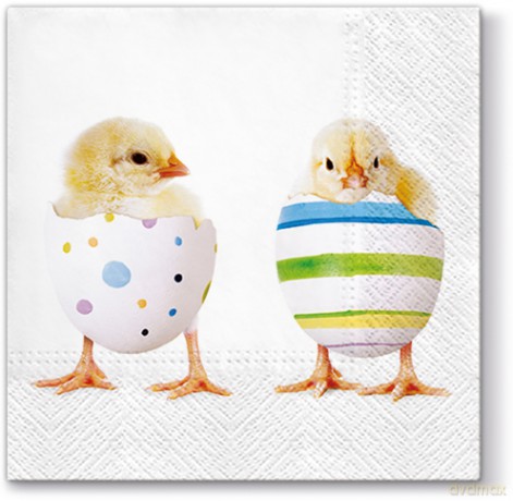 SERWETKI SDL061100 Chick fashion