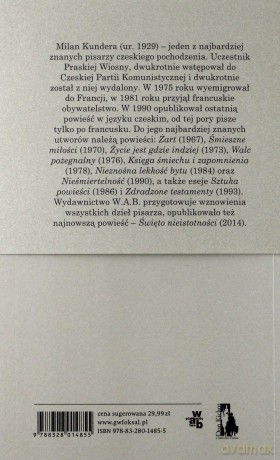 Tożsamość - Milan Kundera [KSIĄŻKA]