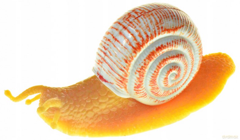 Ślimak 12 cm [FIGURKA]