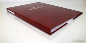 Teczka do akt osobowych (T04) bordo