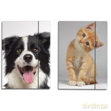 Teczka szkolna A4 Pets